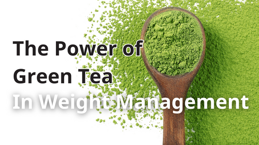 The Power of Green Tea In Weight Management