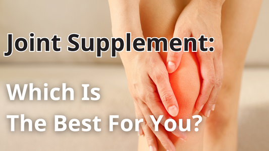 Joint Supplement: Which Is The Best For You?