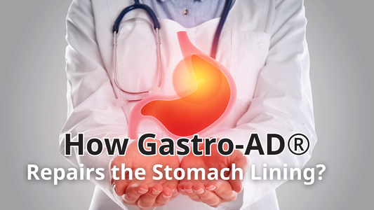 How Gastro-AD® Repairs the Stomach Lining?