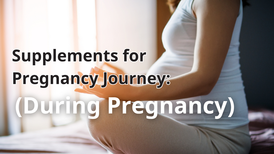 Supplements for Pregnancy Journey (During Pregnancy)