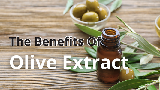 The Benefits Of Olive Extract