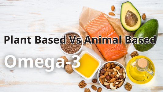 Plant Based Vs Animal Based Omega-3