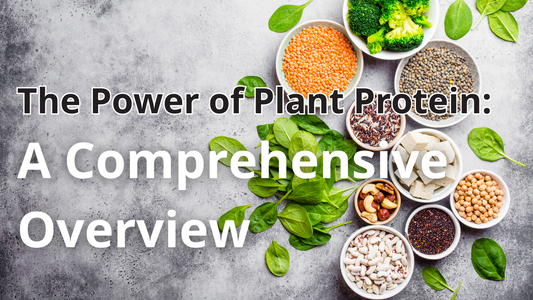 The Power of Plant Protein: A Comprehensive Overview