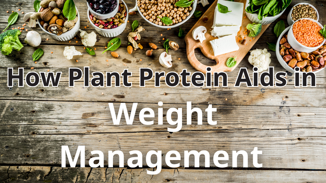 How Plant Protein Aids in Weight Management